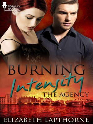 cover image of Burning Intensity